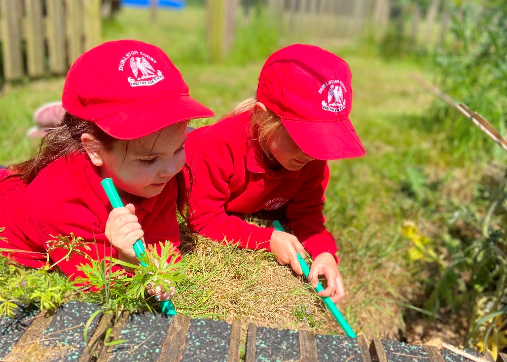 Reception Class pond dipping